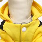 Комбинезон «Мишка», размер M, ДС 28 см, ОШ 30 см, ОГ 38 см, жёлтый, чёрный - Фото 7