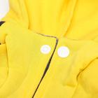 Комбинезон «Мишка», размер L, ДС 35 см, ОШ 35 см, ОГ 45 см, жёлтый, чёрный - Фото 9