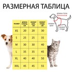 Комбинезон «Мишка», размер XXL, ДС 45 см, ОШ 45 см, ОГ 55 см, жёлтый, чёрный - Фото 14