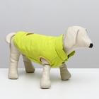 Куртка для собак, S (ДС 20 см, ОШ 23 см, ОГ 32 см), жёлтая - фото 9101909