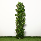 Ограждение декоративное, 200 × 75 см, «Лист осины», Greengo - фото 7188824