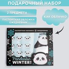 Набор Pandastic winter!: паспортная обложка-облачко и ежедневник-облачко - фото 21150535