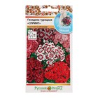 Семена цветов Гвоздика турецкая «Спринт», смесь, 200 шт. - Фото 3