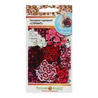 Семена цветов Гвоздика турецкая «Спринт», смесь, 200 шт. - Фото 5