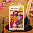 Семена цветов Смесь "сухоцветов", 1 г - Фото 5