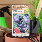 Семена Томат "Лазурный гигант", F1, индетерминантный,высокорослый,10 шт - Фото 3