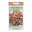Семена цветов Виола "Кул Вейв Стробери Свирл", F1, 3 шт. - Фото 3