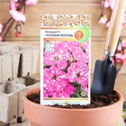 Семена цветов Петуния "Розовый леопард", F1, 5 шт - Фото 1