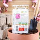 Семена цветов Петуния "Розовый леопард", F1, 5 шт - Фото 2