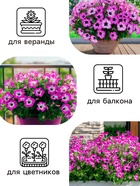 Семена цветов Петуния "Фиолетовый леопард",  F1, 5 шт 5431372 - фото 16398779