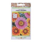 Семена цветов Гацания «Кисс Флейм», F1, смесь, для балкона, веранды, цветника, однолетник, низкорослая10 шт. - Фото 1