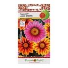 Семена цветов Гацания «Кисс Флейм», F1, смесь, для балкона, веранды, цветника, однолетник, низкорослая10 шт. - Фото 3