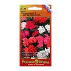 Семена цветов Пеларгония "Мультиблум", F1, смесь, 5 шт. - Фото 3