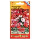 Семена цветов Пеларгония "Мультиблум", F1, смесь, 5 шт. - Фото 5