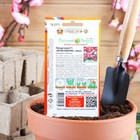 Семена цветов Пеларгония "Мультиблум", F1, смесь, 5 шт. - Фото 2