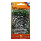 Семена цветов Дихондра "Изумруд в серебре", смесь, 7 шт. - Фото 1