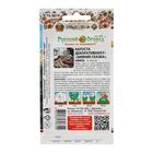 Семена цветов Капуста Декоративная "Зимняя сказка", F1, смесь, 10 шт - Фото 4