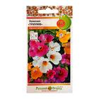 Семена цветов Немезия "Триумф", смесь 0,1 г - Фото 1