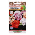 Семена цветов Пеларгония "Черный бархат", смесь 5 шт - Фото 3