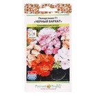 Семена цветов Пеларгония "Черный бархат", смесь 5 шт - Фото 5