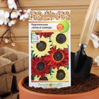 Семена цветов Подсолнечник "Луна и Солнце", смесь, 0,5 г - Фото 3