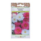 Семена цветов Портулак "Хэппи", специальная смесь, 8 шт - Фото 1