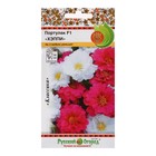 Семена цветов Портулак "Хэппи", специальная смесь, 8 шт - Фото 3