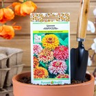 Семена цветов Цинния "Карусель", смесь 0,3 г - Фото 7