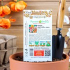 Семена цветов Цинния "Карусель", смесь 0,3 г - Фото 8