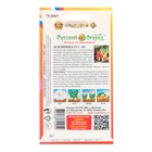 Семена Земляника "С-141", F1, 4 шт - Фото 2