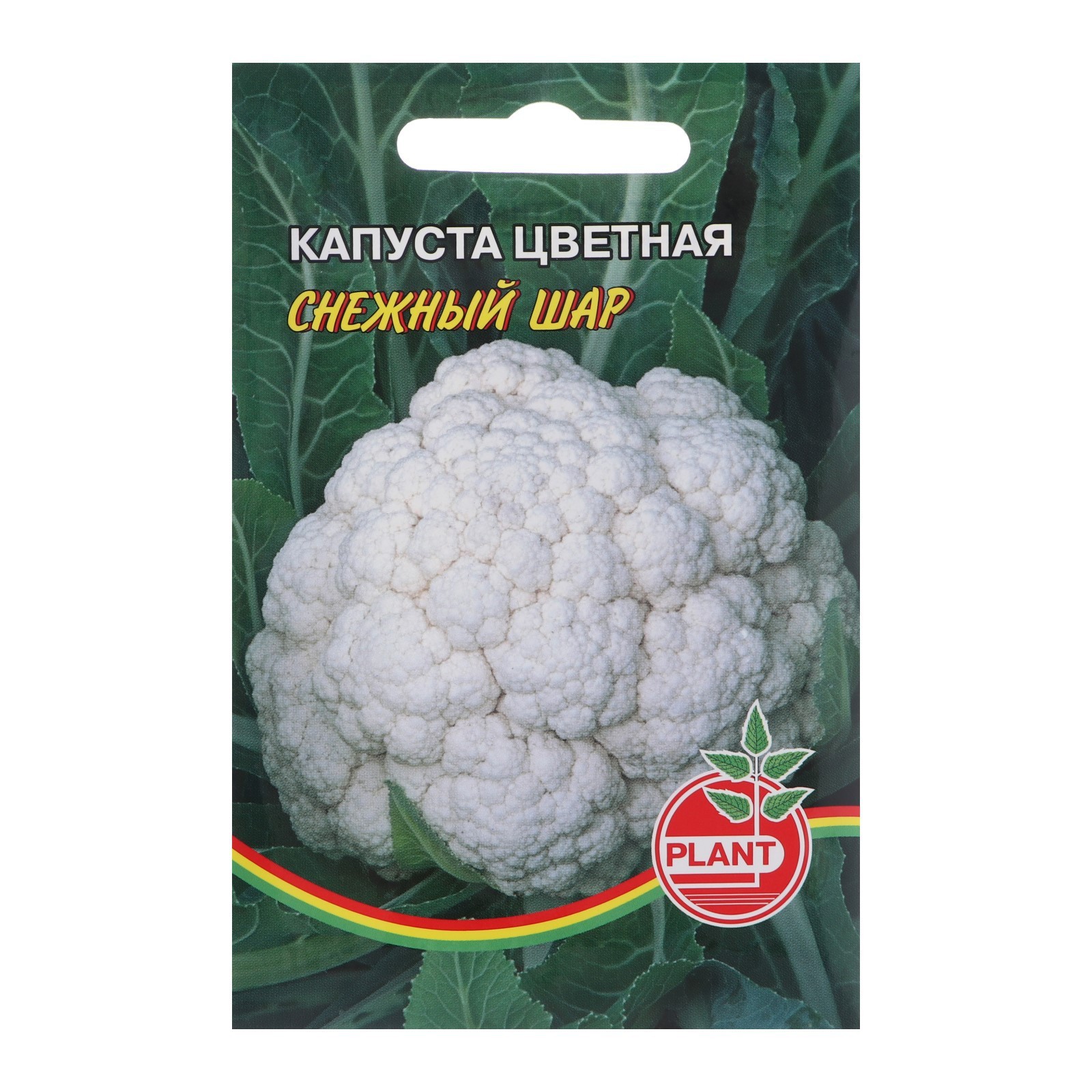 Капуста снежная баба описание сорта фото отзывы Капуста снежная баба описание сорта фото отзывы