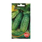 Семена огурца "Ева", 10 шт. - Фото 1