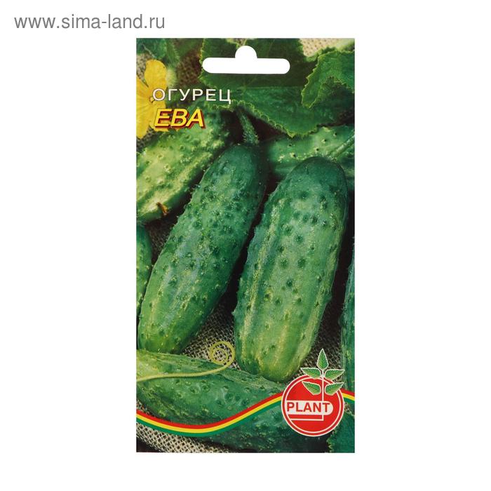 Семена огурца "Ева", 10 шт. - Фото 1