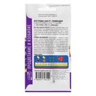 Семена цветов Эустома "Эхо Лавендер", F1, О, драже, 5 шт - Фото 4