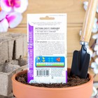 Семена цветов Эустома "Эхо Лавендер", F1, О, драже, 5 шт - Фото 2