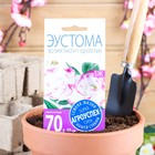 Семена цветов Эустома "Эхо Пинк Пикоти", F1, О драже, 5 шт - Фото 1