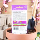 Семена цветов Эустома "Эхо Пинк Пикоти", F1, О драже, 5 шт - Фото 2