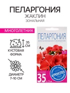 Семена цветов Пеларгония "Жаклин", красная с коричневым листом, F1, 4 шт - Фото 1