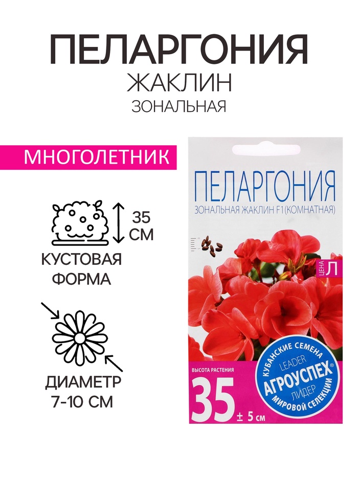 Семена цветов Пеларгония "Жаклин", красная с коричневым листом, F1, 4 шт - Фото 1