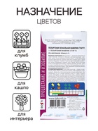 Семена цветов Пеларгония "Маверик Стар", F1, 4 шт - Фото 4