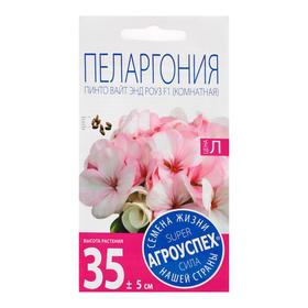 Семена цветов Пеларгония "Пинто Вайт энд Роуз", F1, 4 шт (комплект 10 шт)