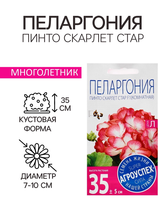 Семена цветов Пеларгония "Пинто Скарлет Стар", F1, 4 шт - Фото 1