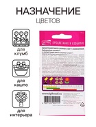 Семена цветов Пеларгония "Пинто Скарлет Стар", F1, 4 шт - Фото 3