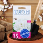 Семена цветов Пеларгония "Снежана", F1, 4 шт. - фото 8971521