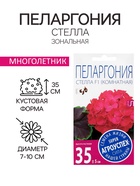 Семена цветов Пеларгония "Стелла", розовая с коричневым листом, F1, 4 шт - Фото 3