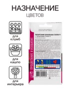 Семена цветов Пеларгония "Стелла", розовая с коричневым листом, F1, 4 шт - Фото 1