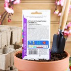 Семена цветов Петуния "Стар", микс, 0,05г - Фото 2