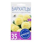 Семена цветов Бархатцы "Ванилла", F1, крупные, кремовые, О, 5 шт - Фото 3