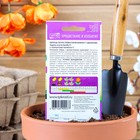 Семена цветов Бархатцы "Ванилла", F1, крупные, кремовые, О, 5 шт - Фото 2