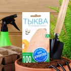 Семена Тыква "Розовый банан", 2 г - Фото 3